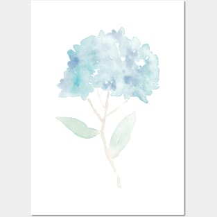 Loose Watercolor Hydrangea Painting Posters and Art